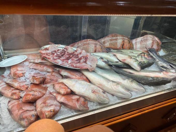 Hostal Quinto Pino 奇皮奥纳 外观 照片